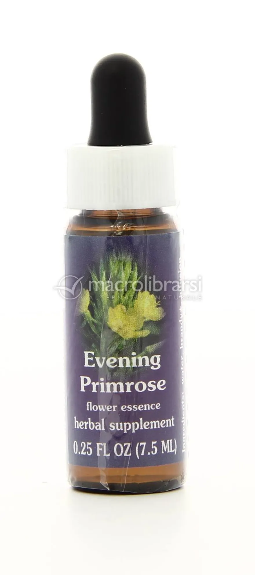 Evening Primrose - Fiori californiani