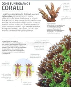 Explanatorium della Natura