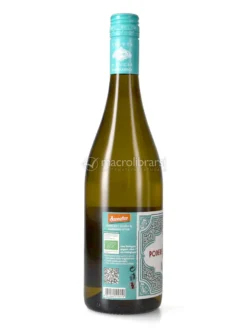 Famoso Baccareto - Vino Bianco Bio