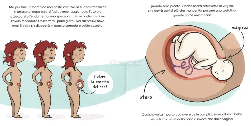 Farfallina? Si Chiama Vulva!