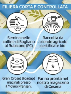 Farina di Grano Tenero Integrale - Kg. 1