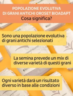 Farina di Grano Tenero Integrale - Kg. 1