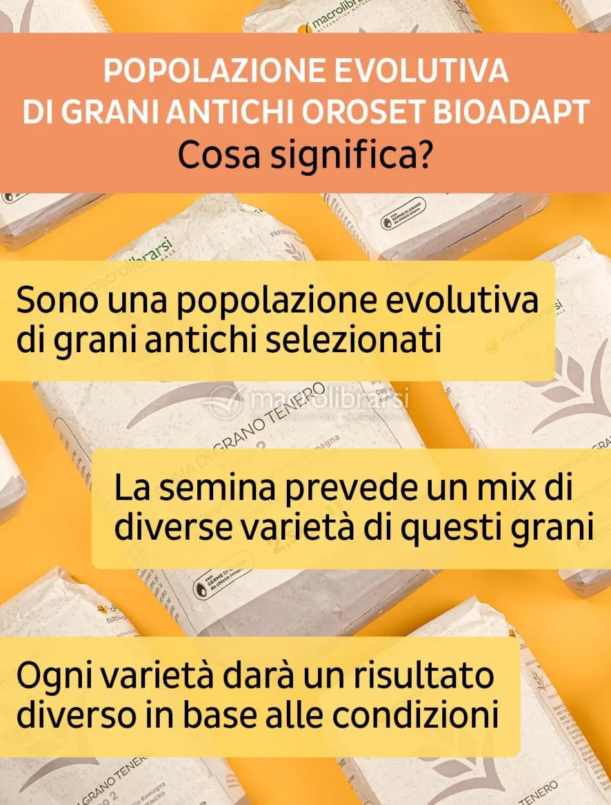 Farina di Grano Tenero Tipo 1 - 2,5 kg
