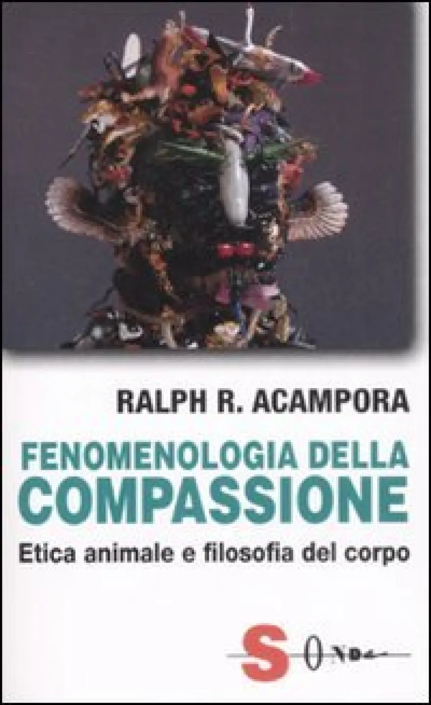 Fenomenologia della Compassione