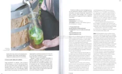 Fermenti