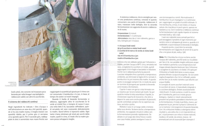Fermenti
