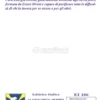 Fiamma Violetta