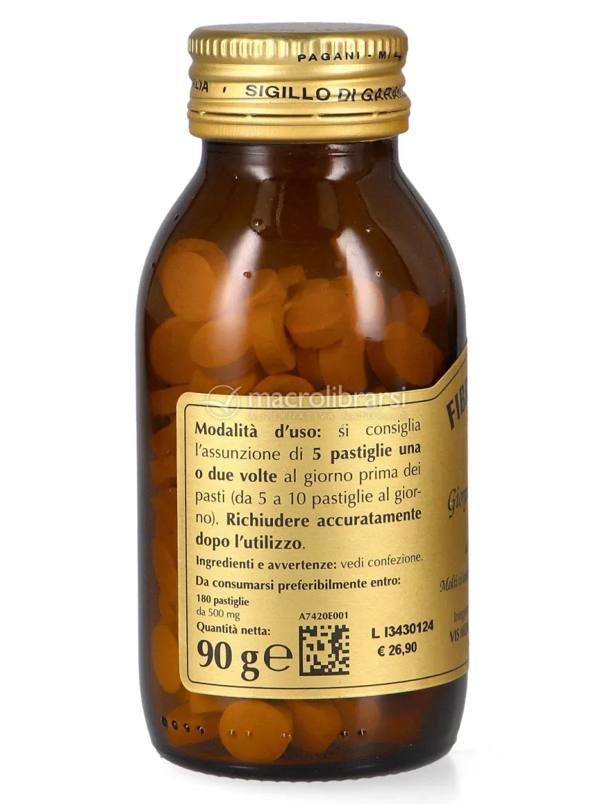Fibromialvis