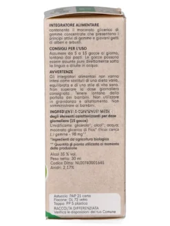 Fico Gemme - Bio