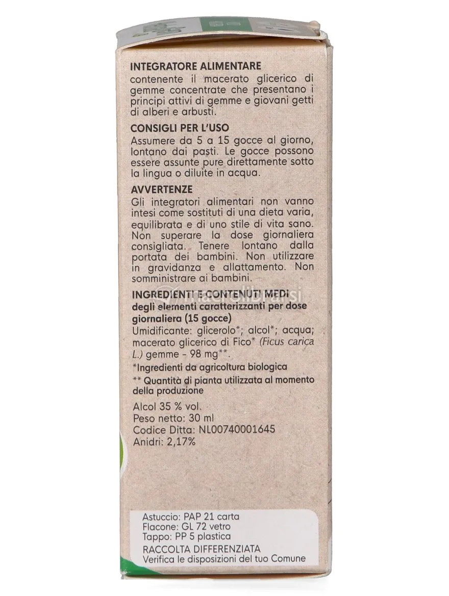 Fico Gemme - Bio