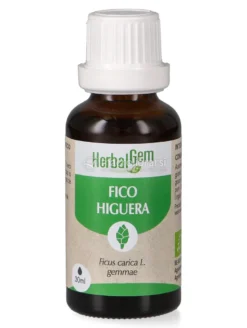 Fico Gemme - Bio