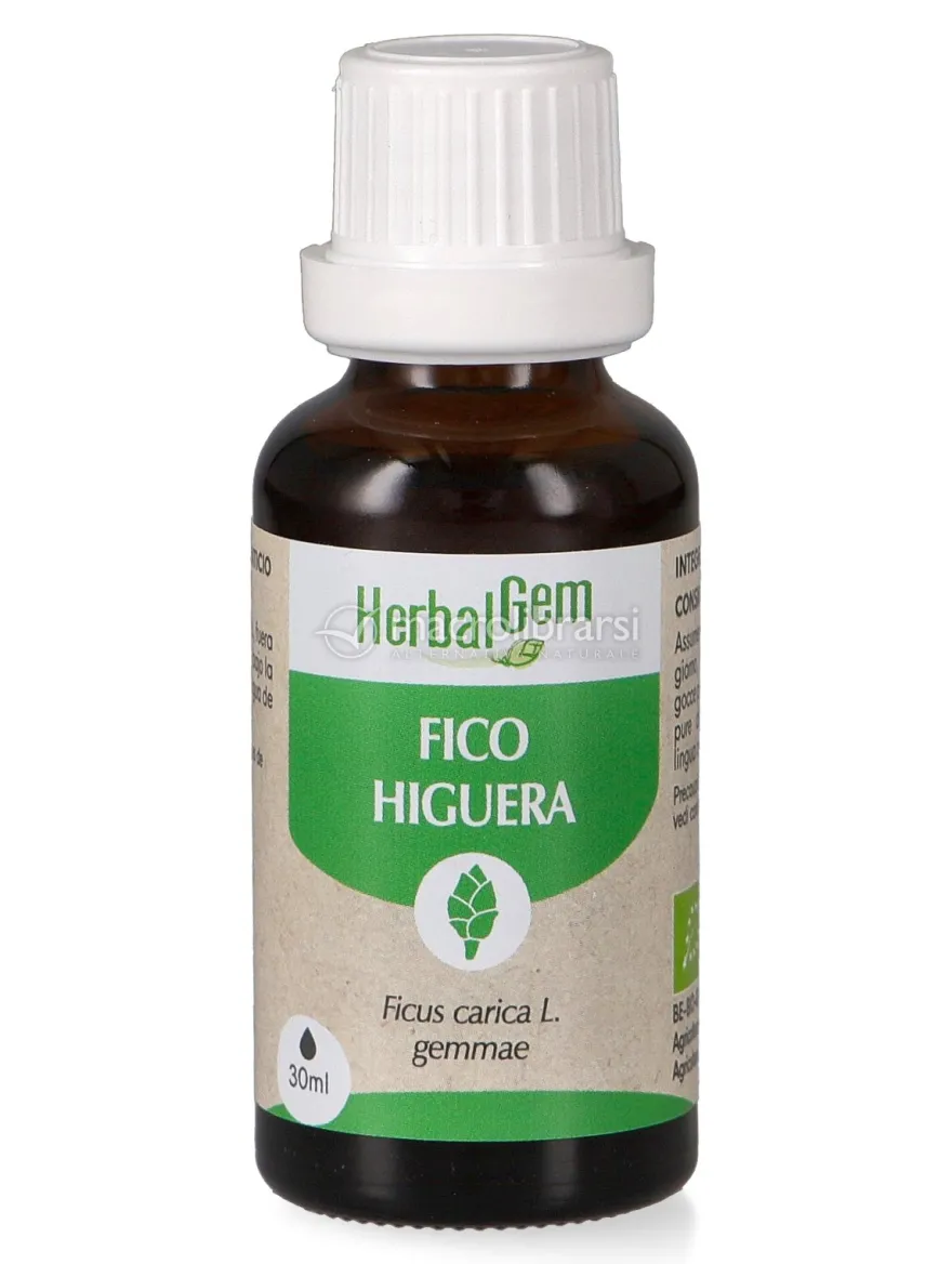 Fico Gemme - Bio