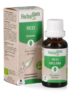 Fico Gemme - Bio