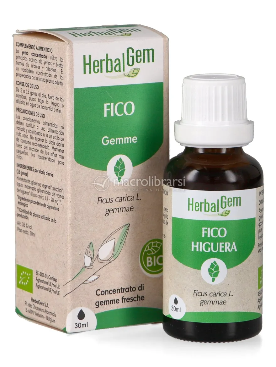 Fico Gemme - Bio