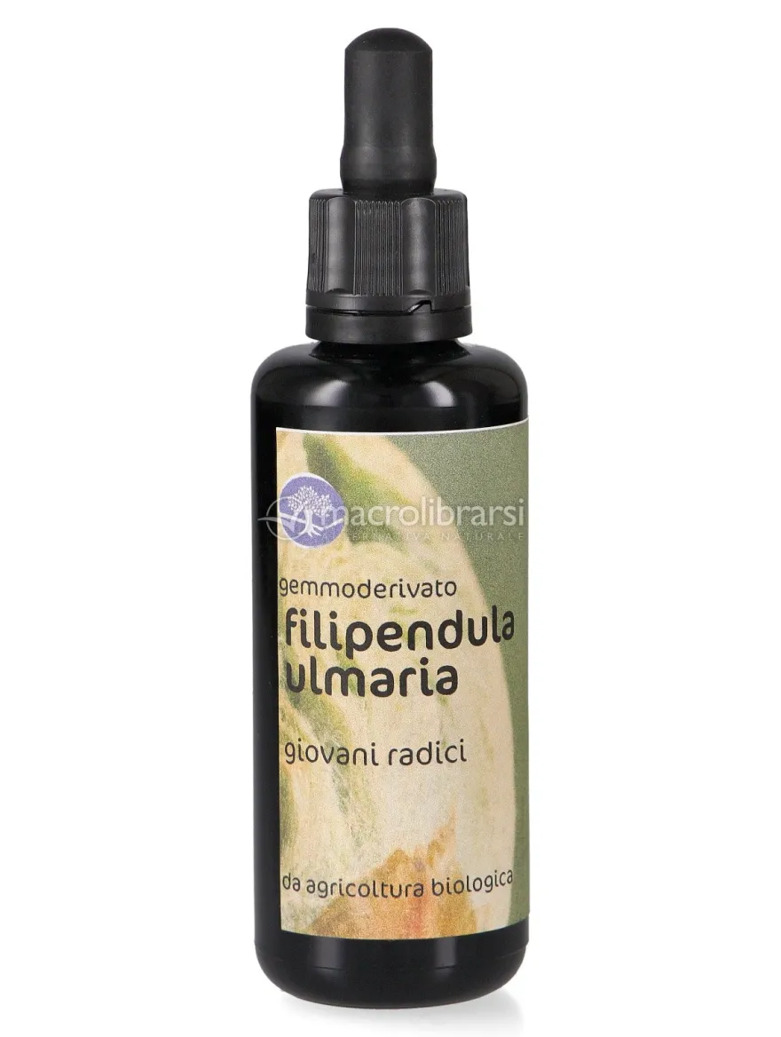 Filipendula Ulmaria - Gemmoderivato