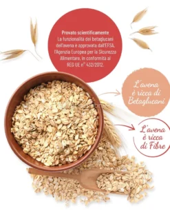 Fiocchi di Avena Integrali Bio
