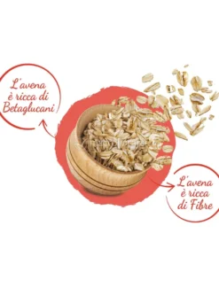 Fiocchi di Avena Integrali Bio