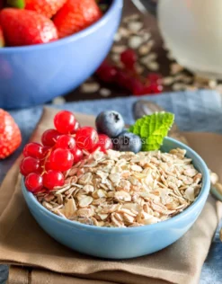 Fiocchi di Orzo Bio