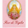 Fior di Giglio