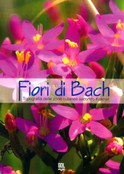 Fiori di Bach - Topografia delle Zone Cutanee Secondo Krämer