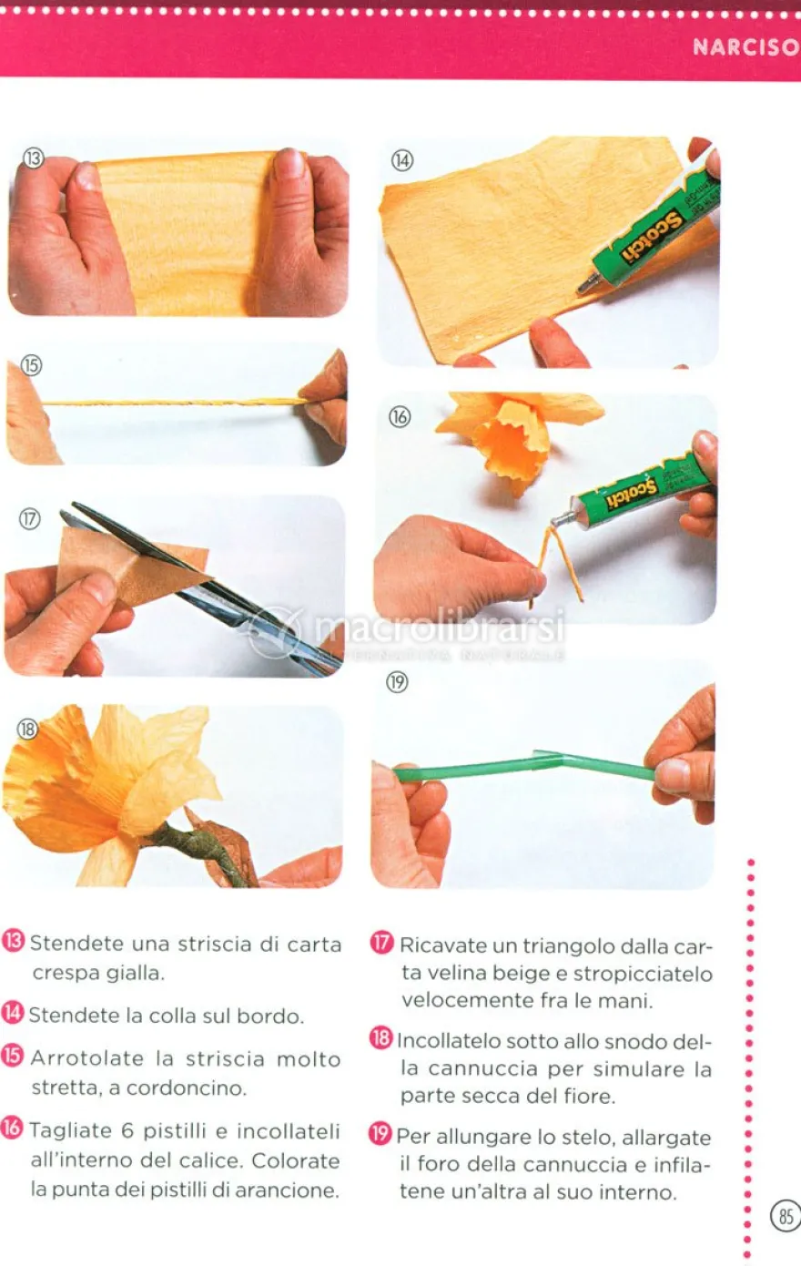Fiori di Carta - Subito Fatto