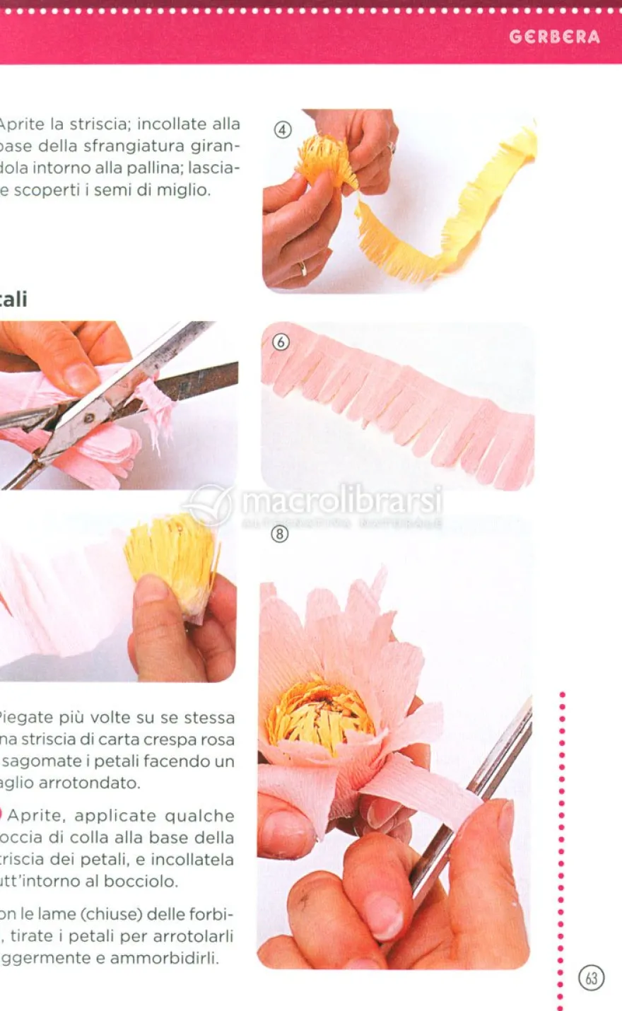 Fiori di Carta - Subito Fatto