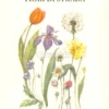 Fiori di Strada