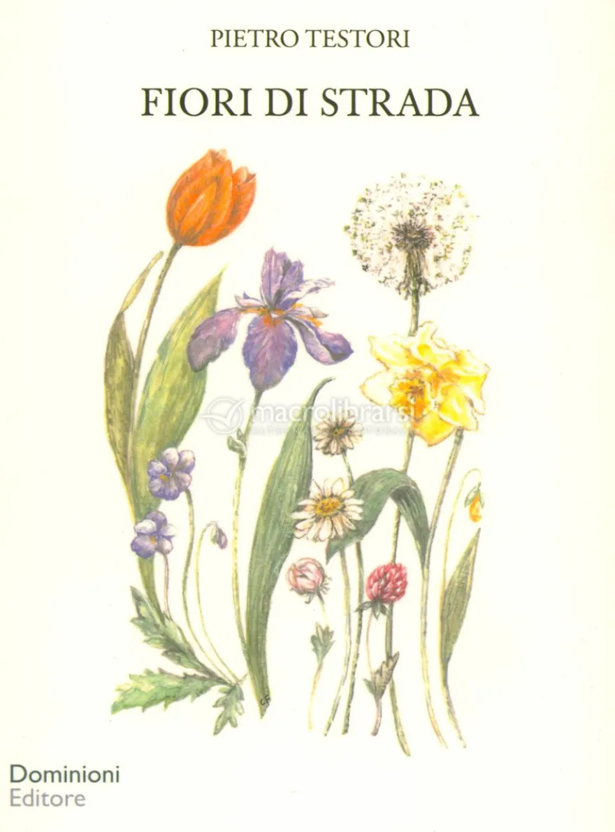 Fiori di Strada