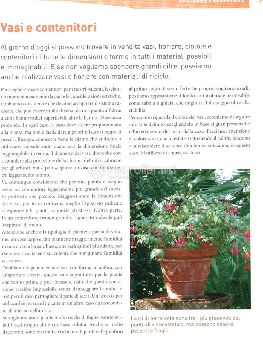 Fiori e Piante da Balcone