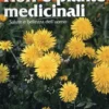 Fiori e Piante Medicinali