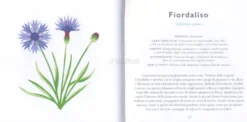 Fiori Selvatici
