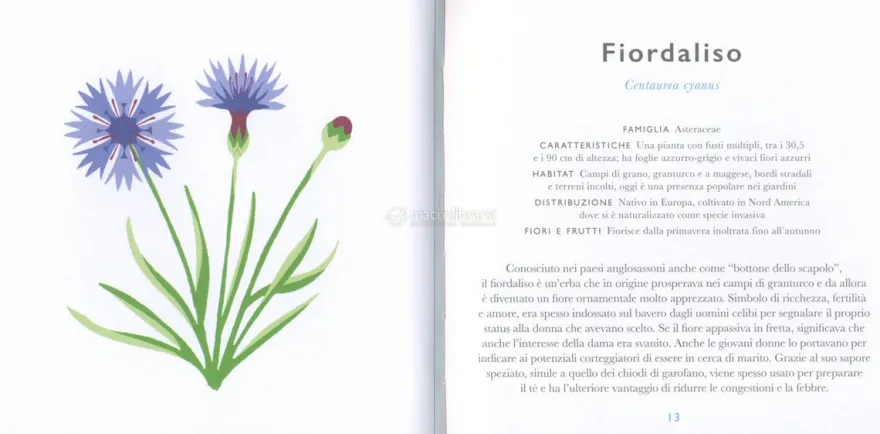 Fiori Selvatici
