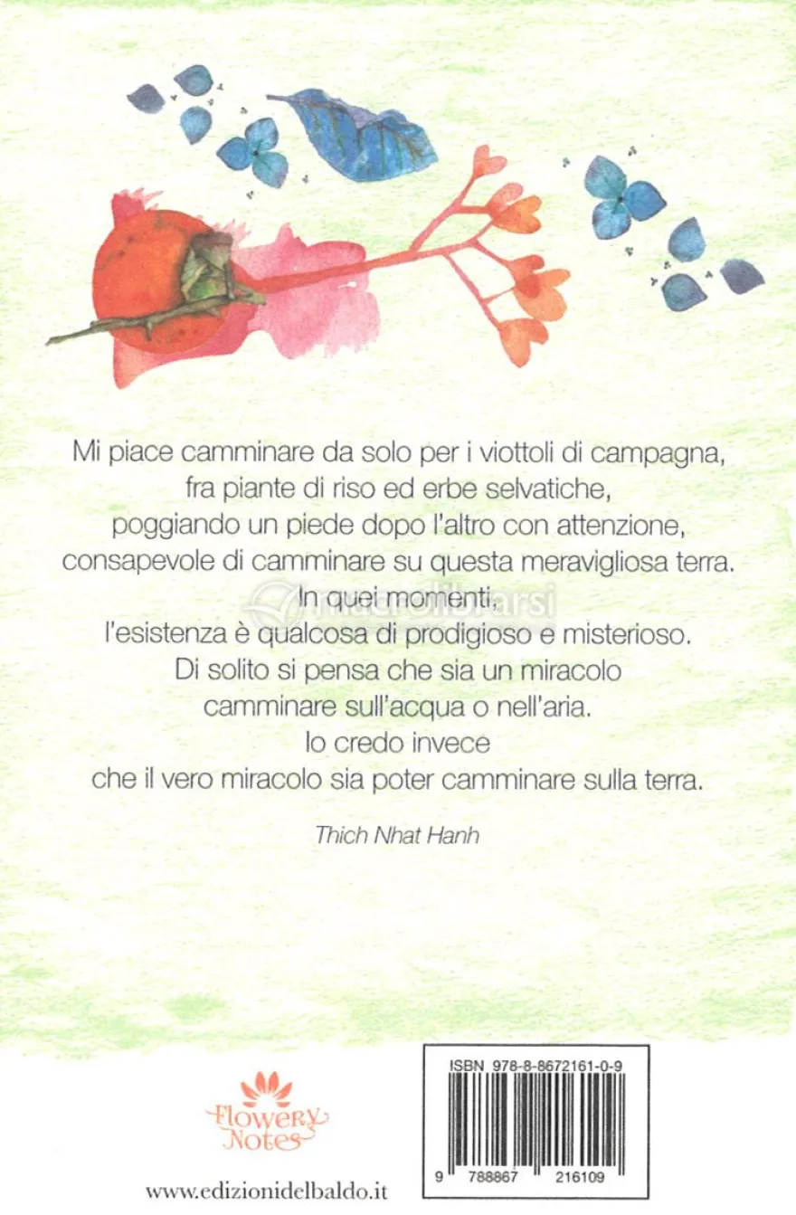 Fiori Zen - Flowery Notes