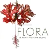 Flora - Le Piante Viste da Vicino