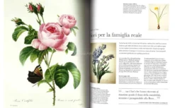 Flora - Le Piante Viste da Vicino