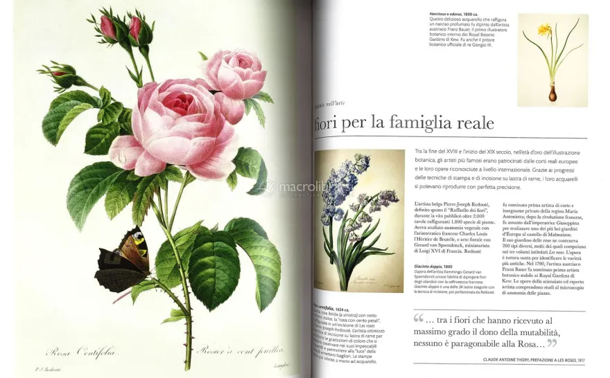 Flora - Le Piante Viste da Vicino