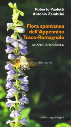 Flora Spontanea dell'Appennino Tosco-romagnolo