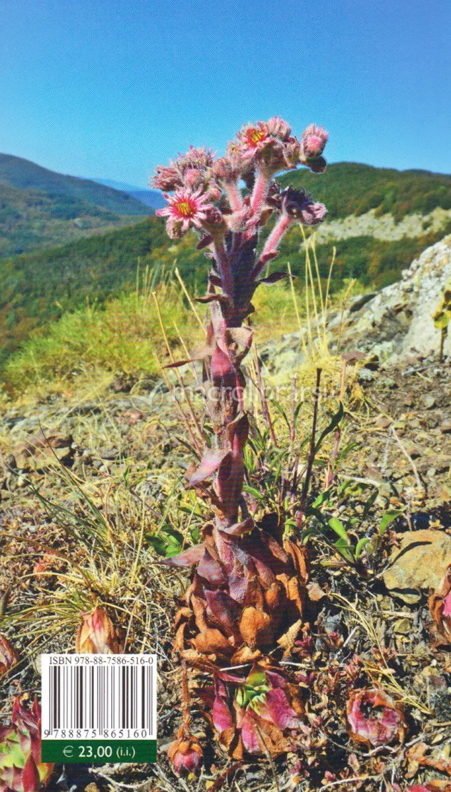 Flora Spontanea dell'Appennino Tosco-romagnolo