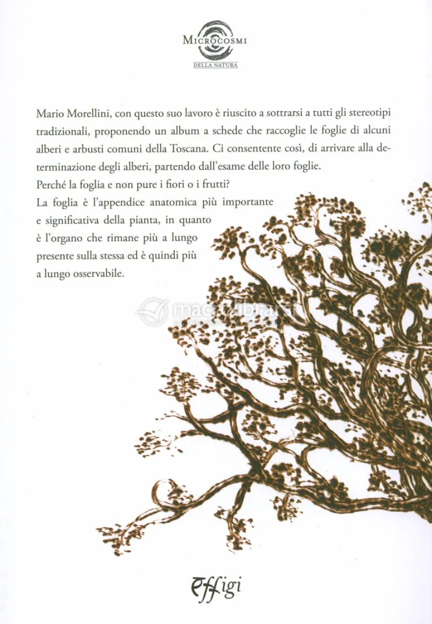 Flora Toscana