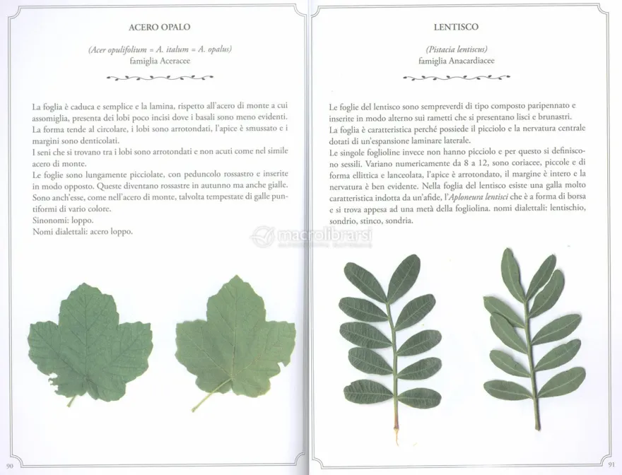 Flora Toscana