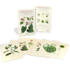 Flower Plates - 6 Stampe Botaniche - Flore d'Oware et de Bénin, en Afrique