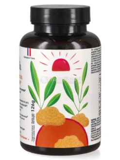 Focus - Gommose Bio con Estratti di Lion's Mane