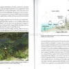 Food Forest