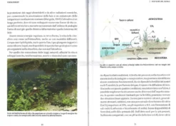 Food Forest