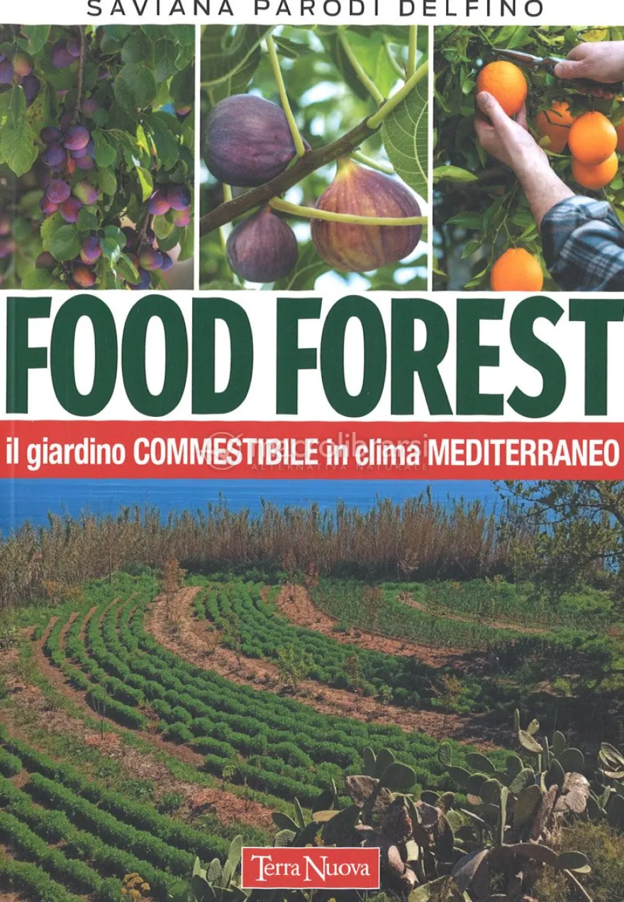 Food Forest
