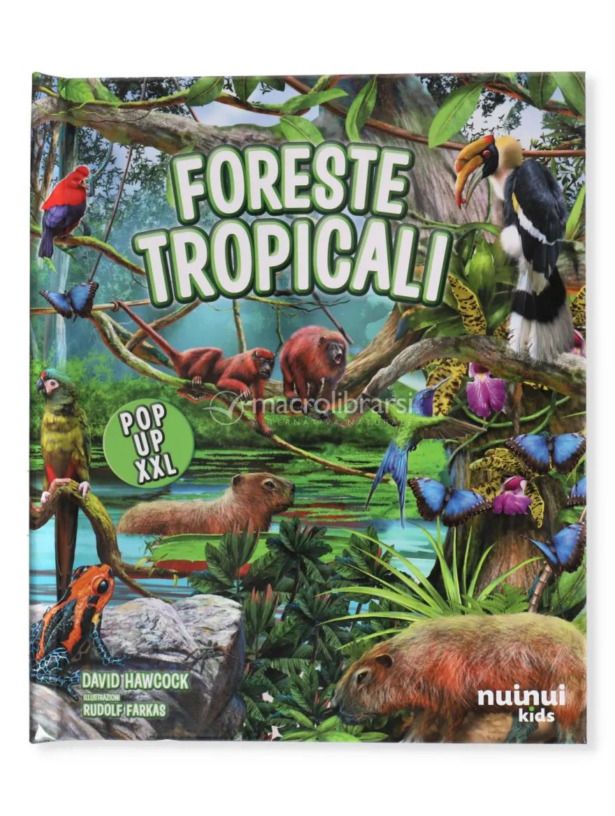 Foreste Tropicali Pop Up XXL