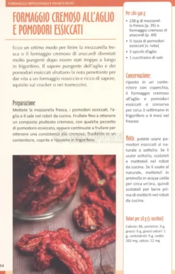Formaggi Vegan fatti in Casa