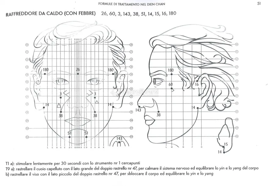 150 Formule di Trattamento Dien Chan