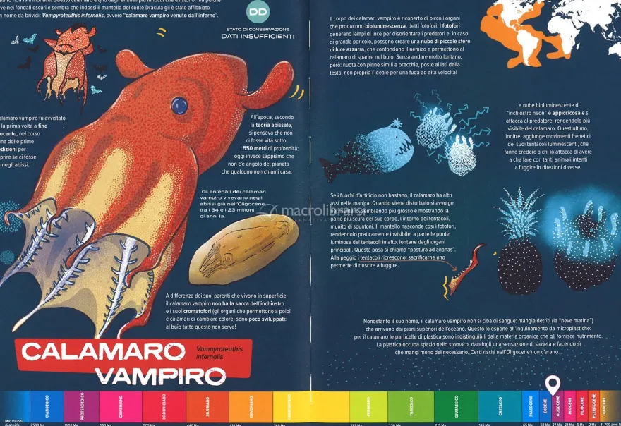 Fossili Viventi