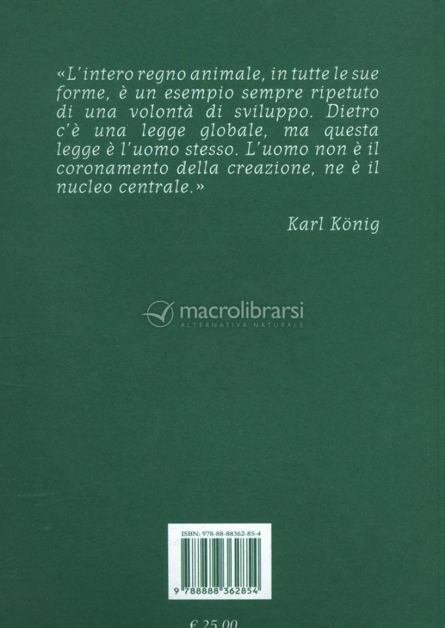 Fratello Animale